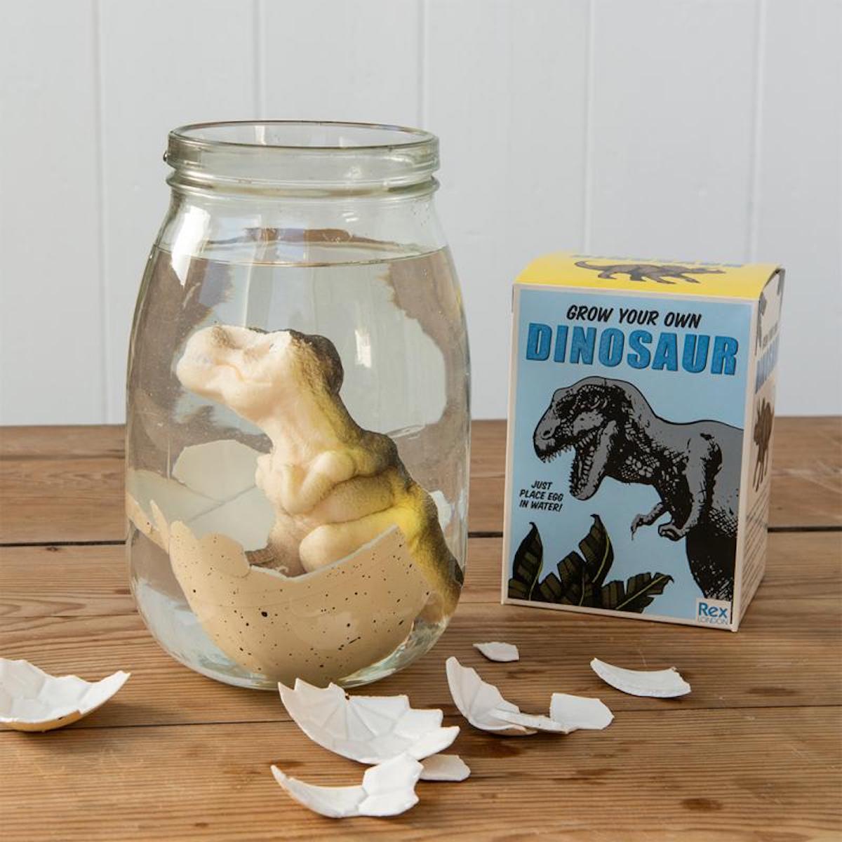 Heliotique Hatch Your Own Dinosaur Egg Kit