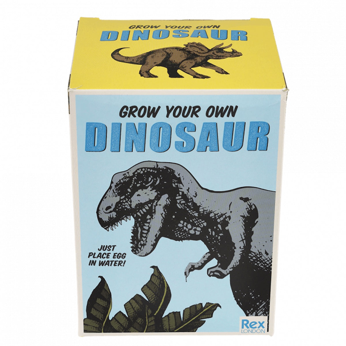 Heliotique Hatch Your Own Dinosaur Egg Kit