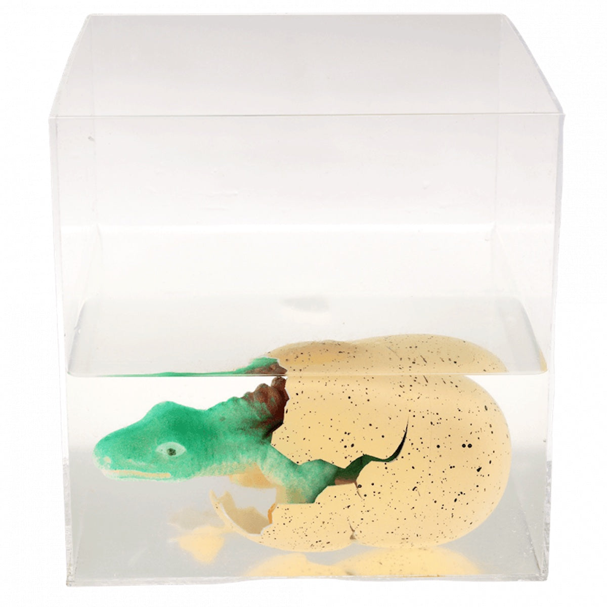 Heliotique Hatch Your Own Dinosaur Egg Kit