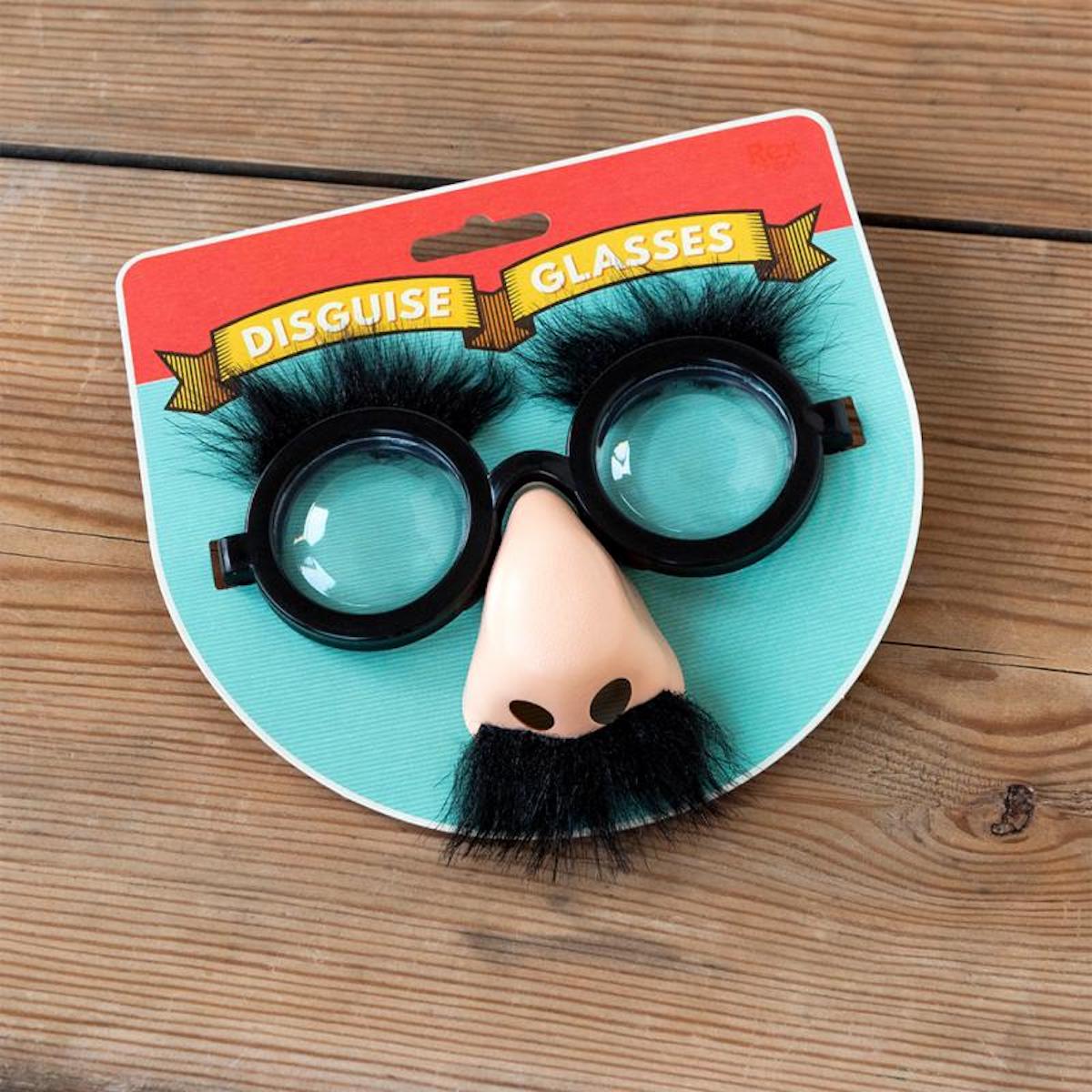 Heliotique Disguise Joke Glasses