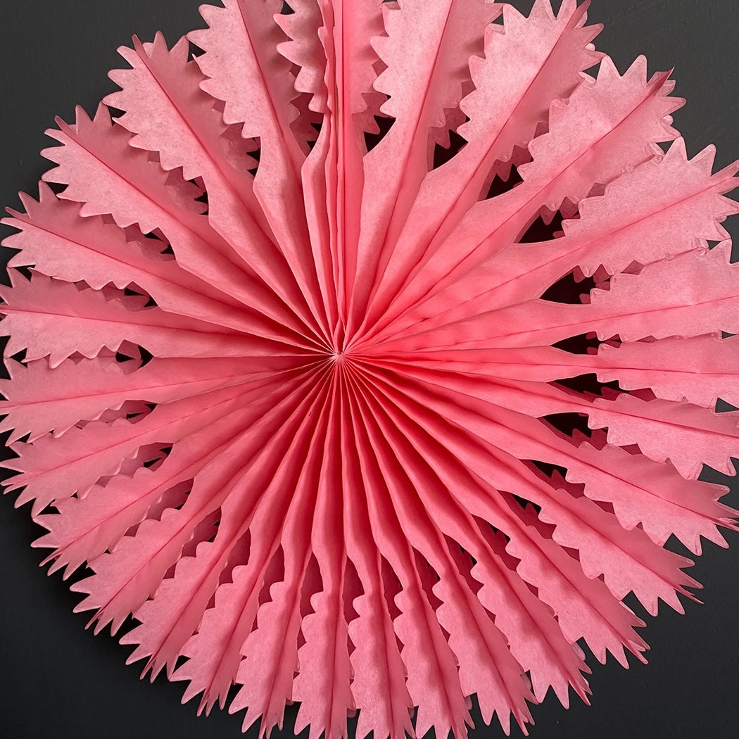 Heliotique | Petra Boase Paper Fan Decoration - Rose