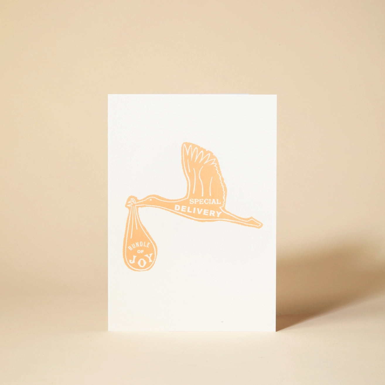 Heliotique Special Delivery New Baby Card