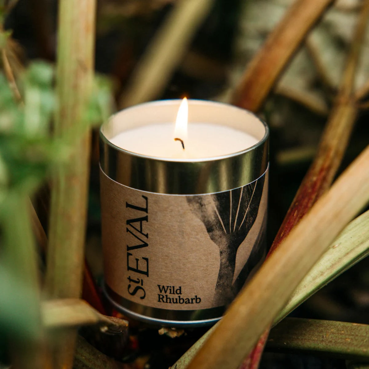 Heliotique | St Eval Wild Rhubarb Scented Tin Candle