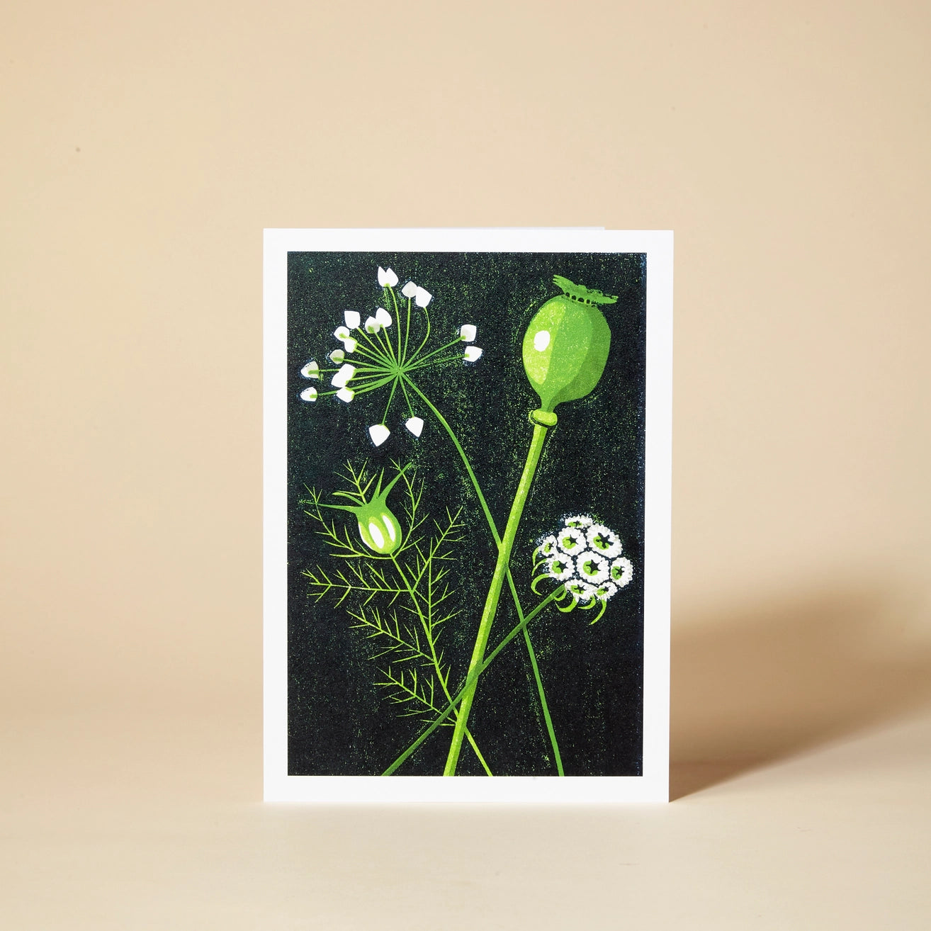 Heliotique Seed Heads Greeting Card