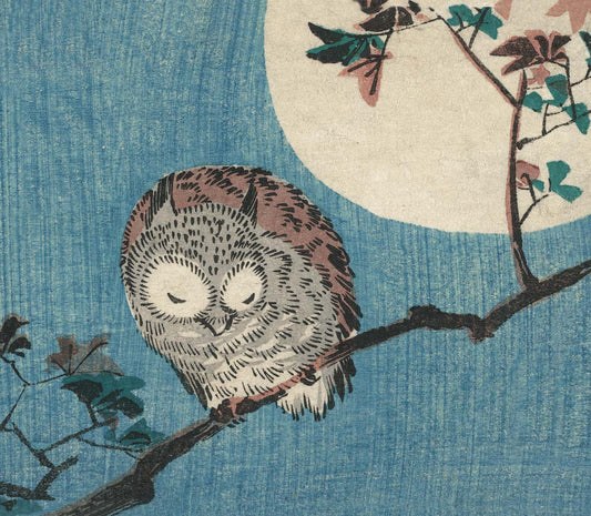 Heliotique Owl on Maple Branch Card