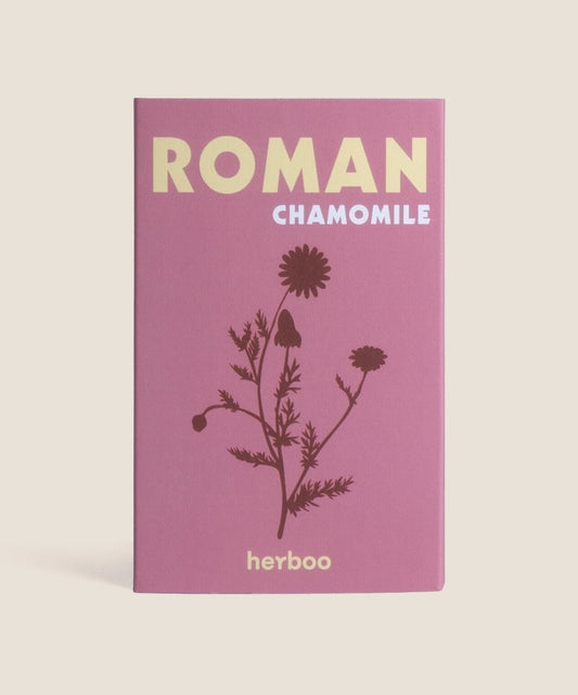Heliotique Roman 'Chamomile' Seeds