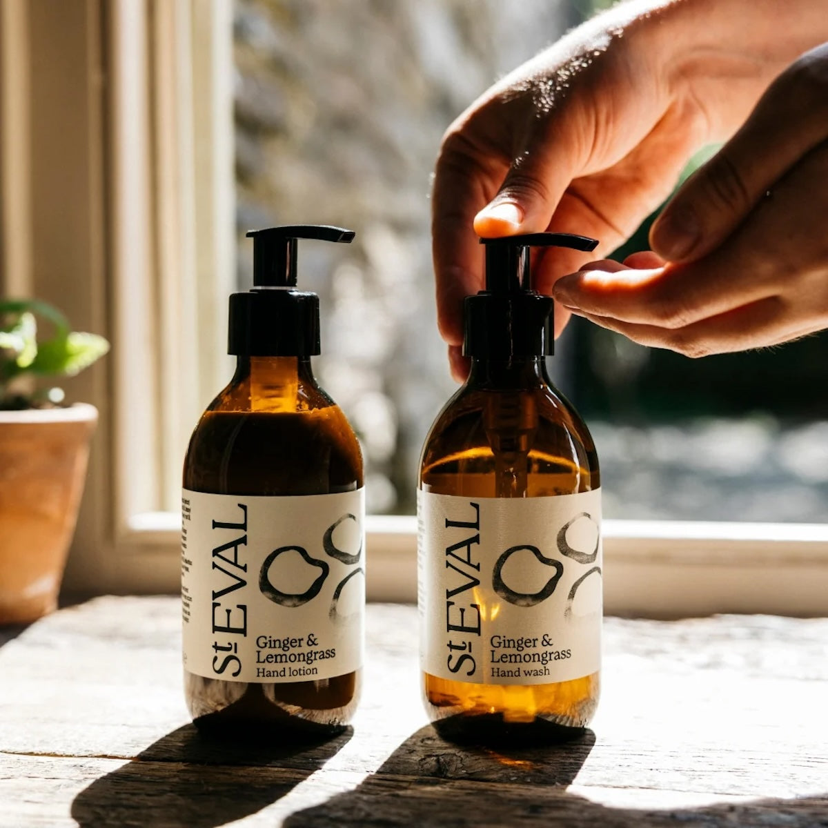 Ginger & Lemongrass Hand Lotion
