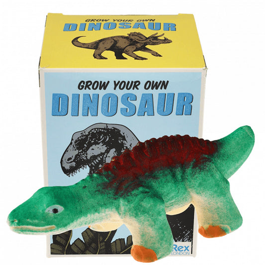 Heliotique Hatch Your Own Dinosaur Egg Kit