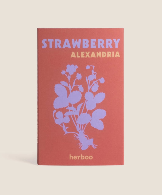 Heliotique Strawberry 'Alexandria' Seeds