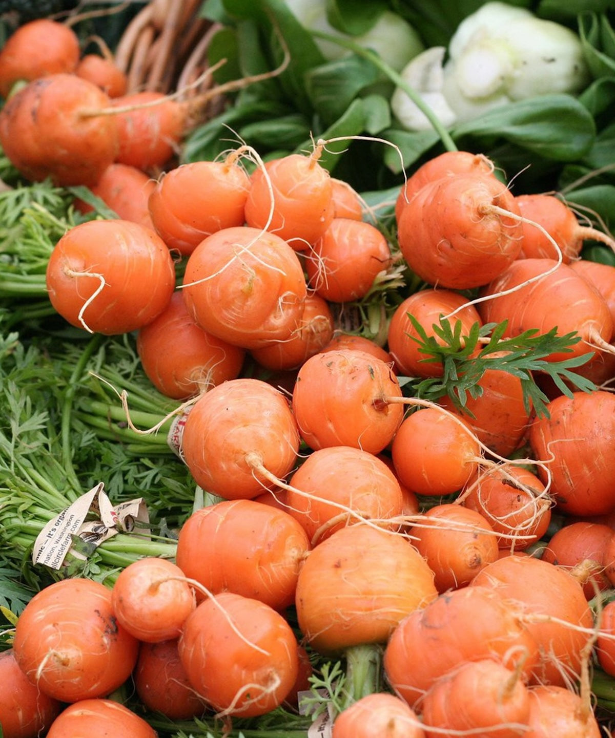 Heliotique Carrot 'Paris Market' Seeds