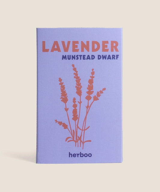 Heliotique Lavender 'Munstead Dwarf' Seeds