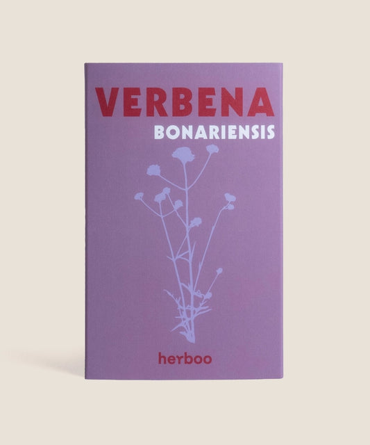 Heliotique Verbena 'Bonariensis' Seeds