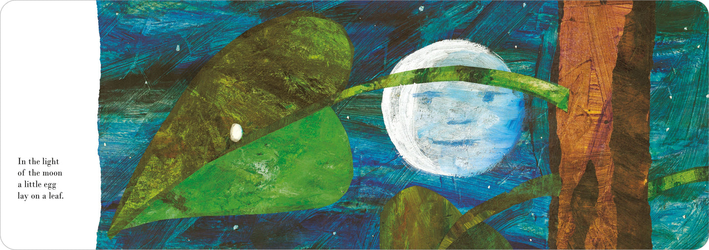 Heliotique | V'ery Hungry Caterpillar' Board Book By Eric Carle