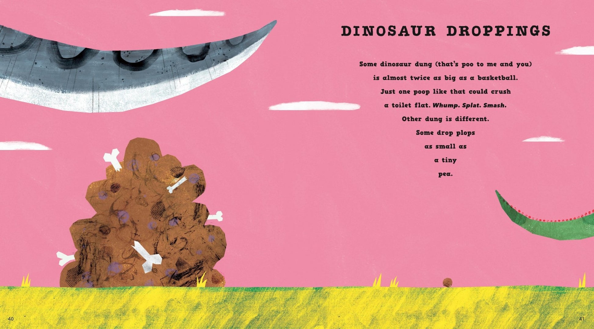Heliotique | 'First Book of Dinosaurs' Book by Simon Mole