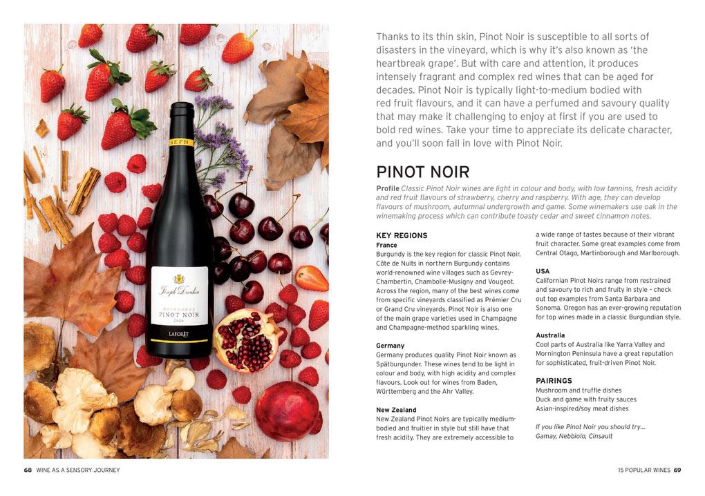 Heliotique | 'Wine: Taste Pair Pour' Book by Charlotte Kristensen