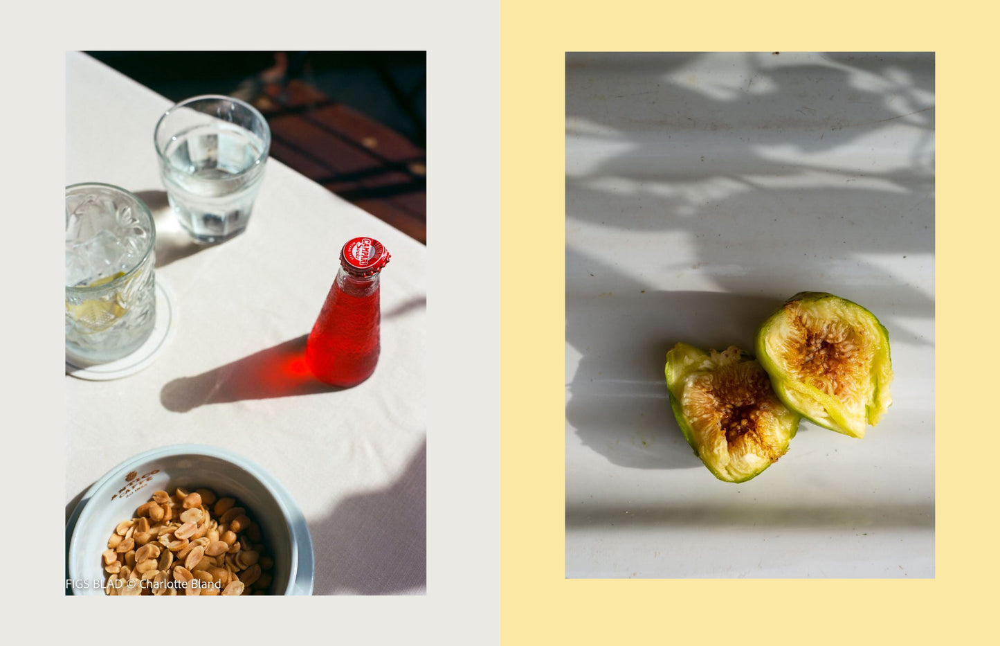 Heliotique 'Wild Figs And Fennel: A Year In An Italian Kitchen' Recipe Book