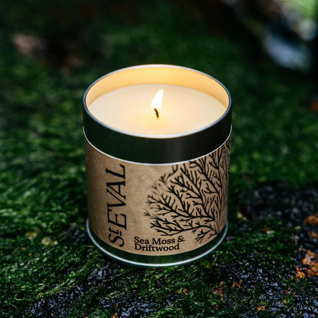 Heliotique Sea Moss & Driftwood Scented Tin Candle