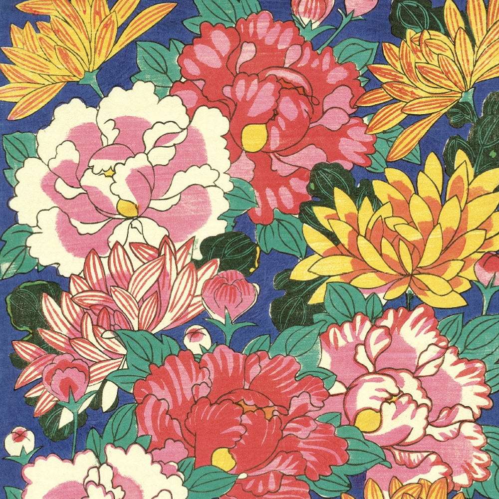 Heliotique | Canns Down Press Peonies & Chrysanthemums Gift Wrap Sheet