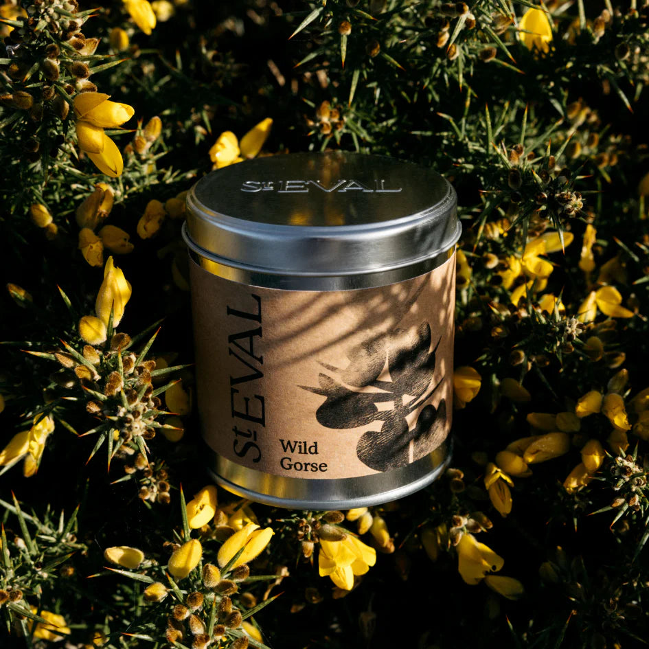 Heliotique Wild Gorse Scented Tin Candle