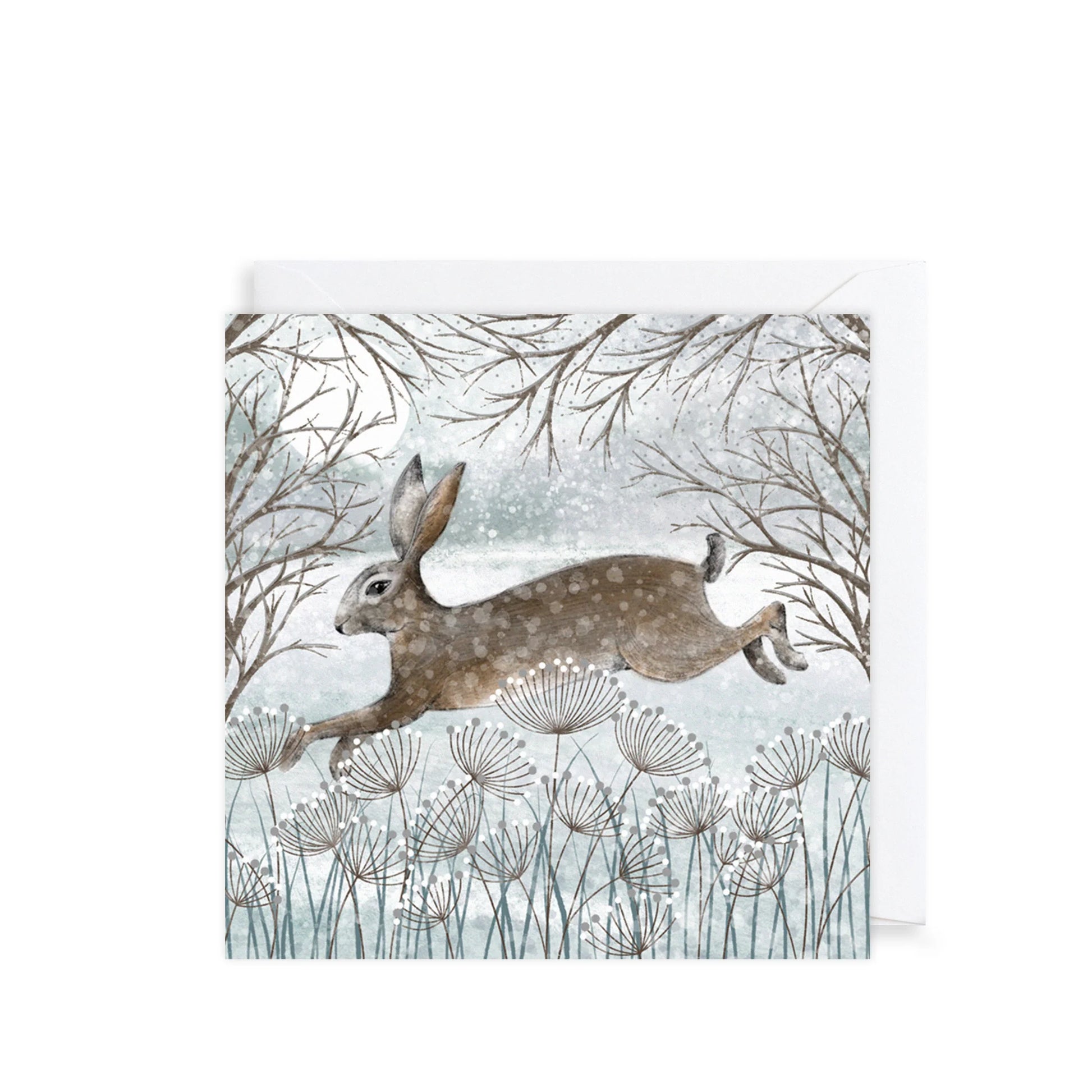 Heliotique | Snowy Hare Charity Christmas Cards