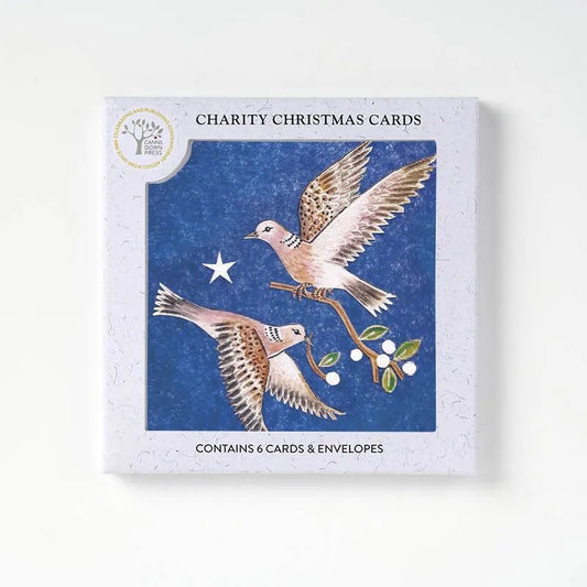 Heliotique Charity Christmas Card Pack - The Gift of Peace