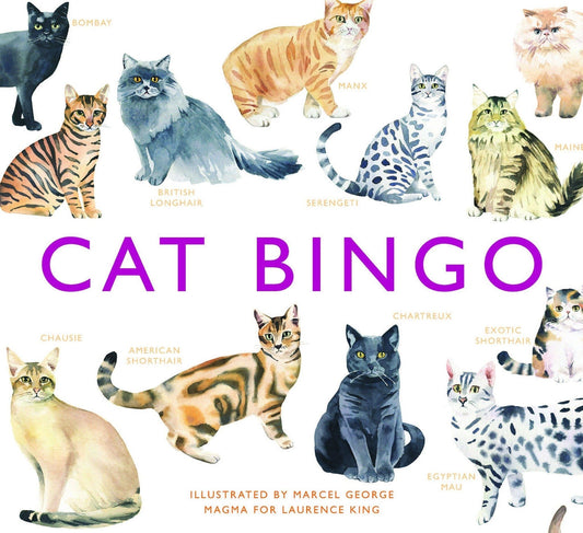 Heliotique | Bookspeed Cat Bingo Game