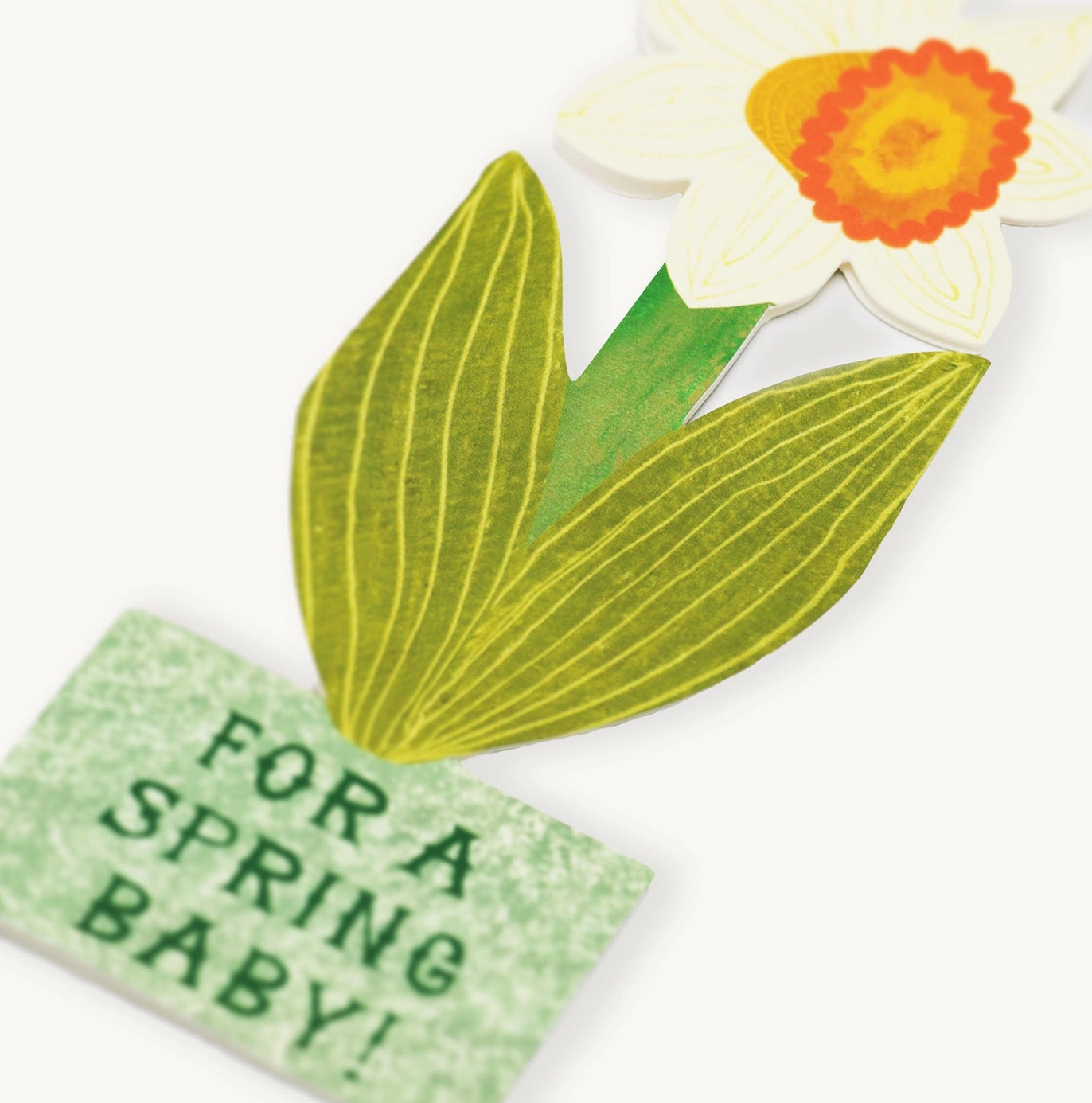 Heliotique Spring Baby Daffodil Card