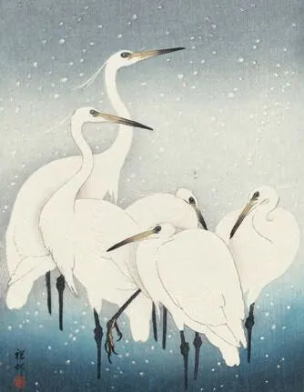 Charity Christmas Card Pack - Herons in The Snow